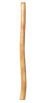 Medium Size Natural Finish Didgeridoo (TW1244)